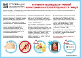 Профилактика сальмонеллёза Профилактика сальмонеллёза.